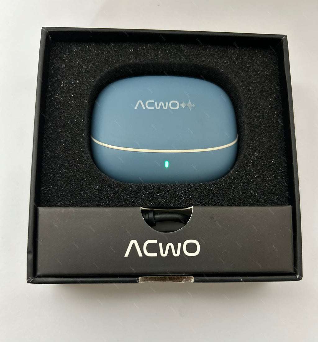 ACW0 Airpods 313 (A313)