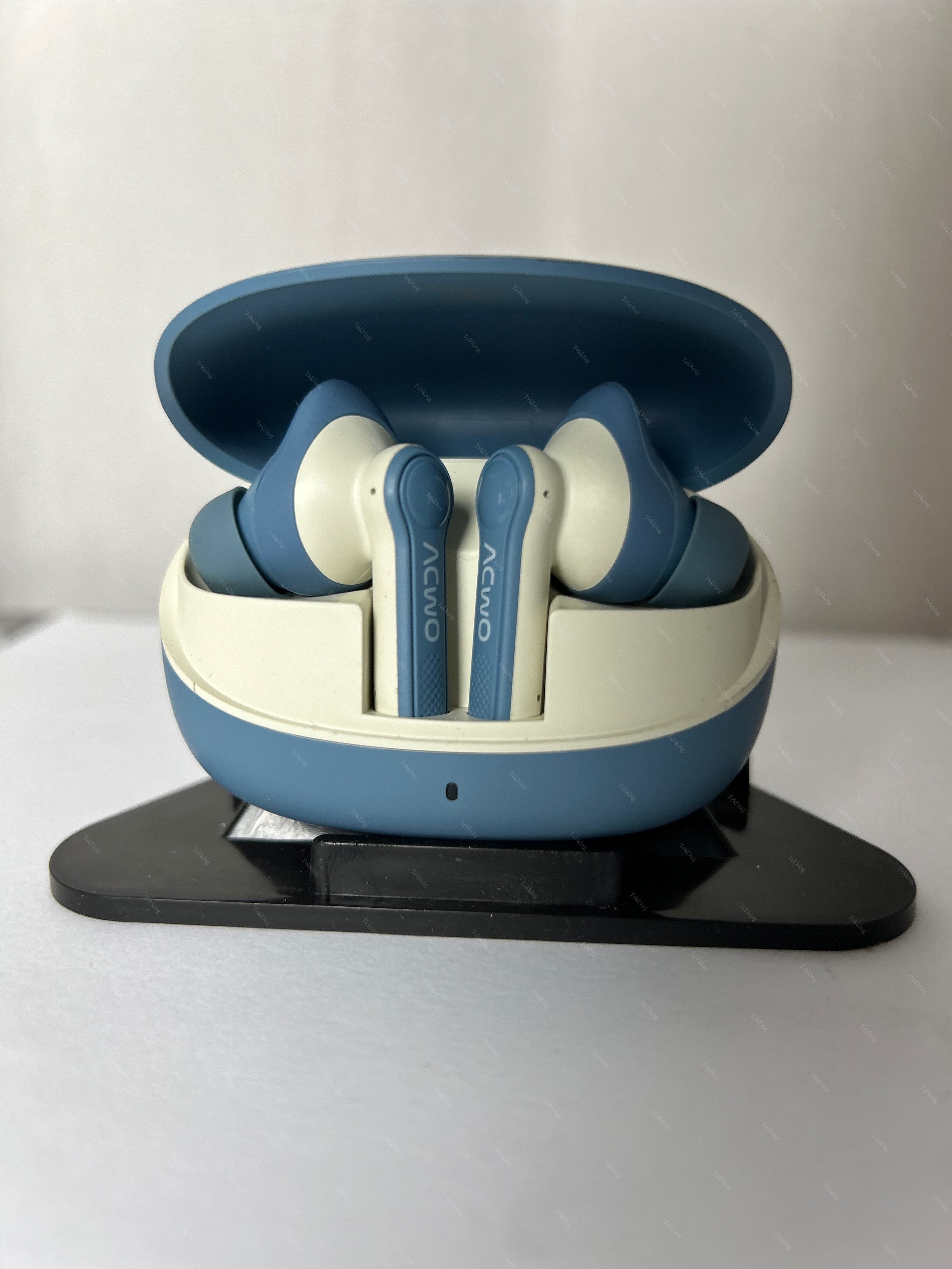 ACW0 Airpods 313 (A313)